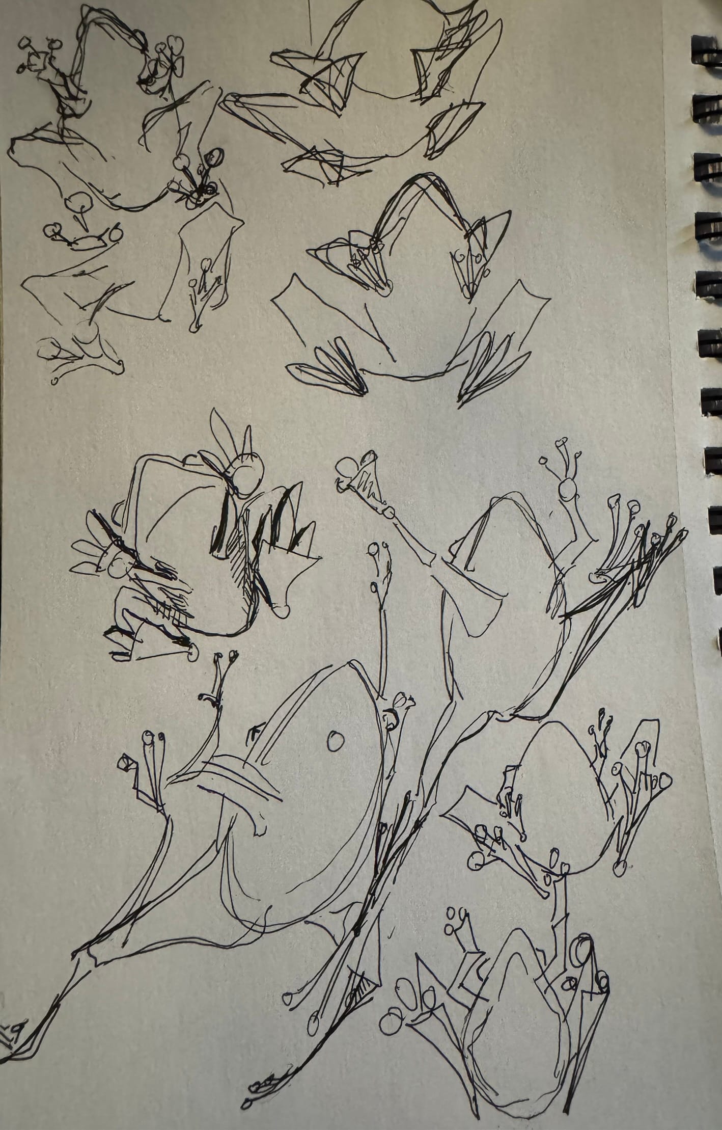 Daily Drawing