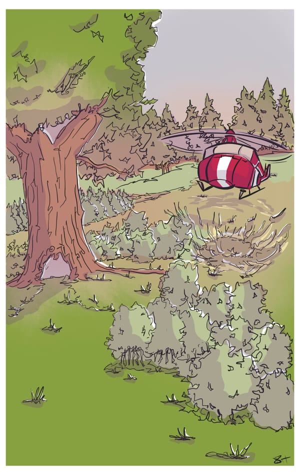Landing